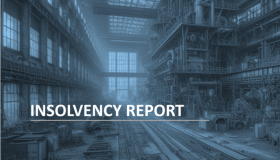 Insolvency Report 02/2024