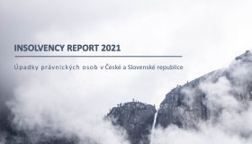 Insolvency Report 02/2021