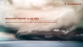 Insolvency Report 2022