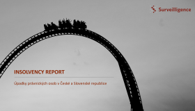 Insolvency Report 11/2023