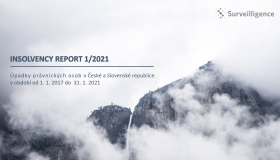 Insolvency Report 01/2021
