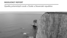 Insolvency Report